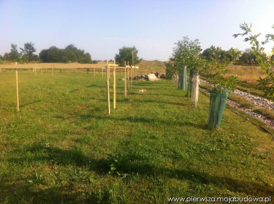 blog budowlany - mojabudowa.pl