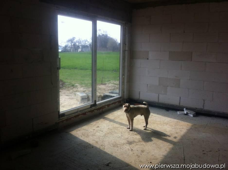 blog budowlany - mojabudowa.pl