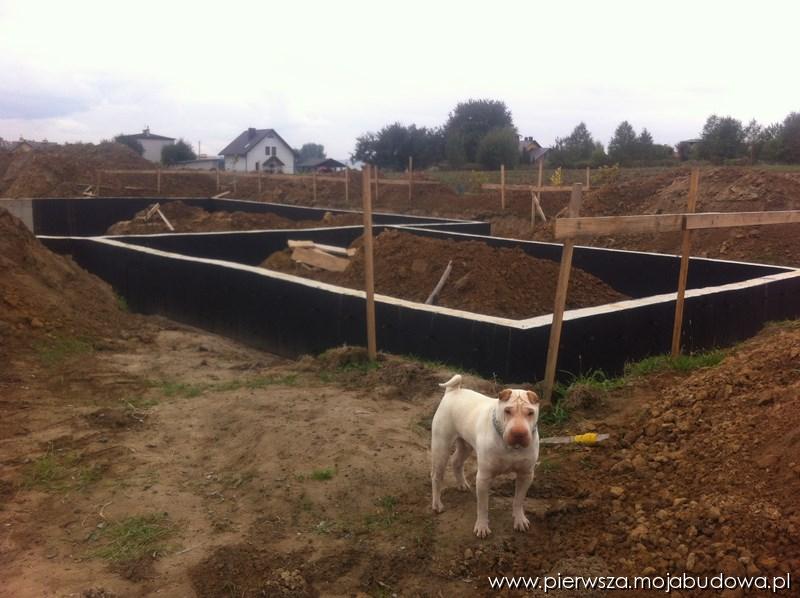 blog budowlany - mojabudowa.pl